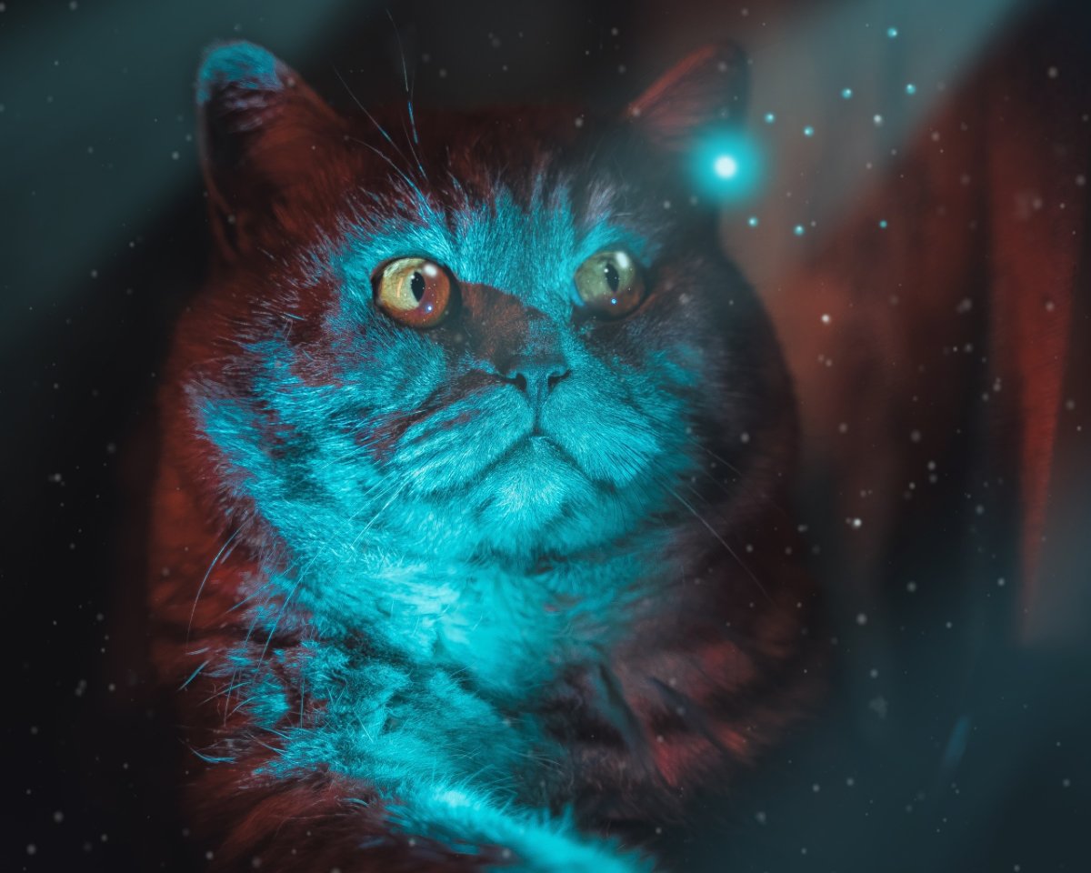 Яркая аватарка