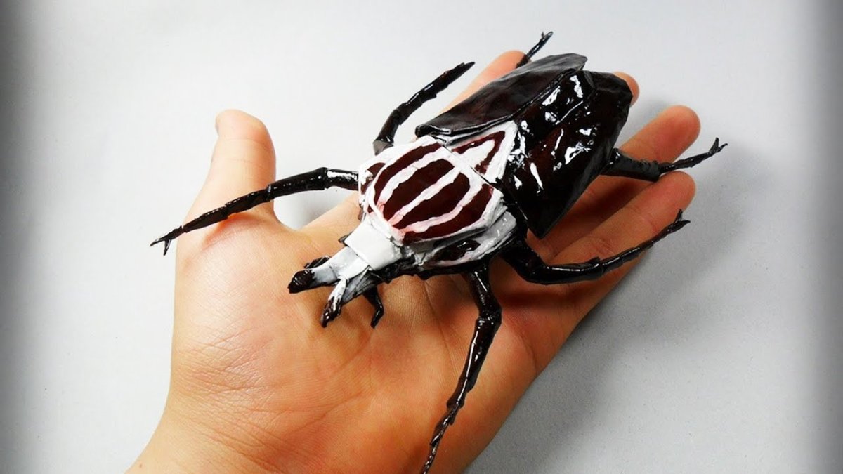 Королевский Жук Голиаф