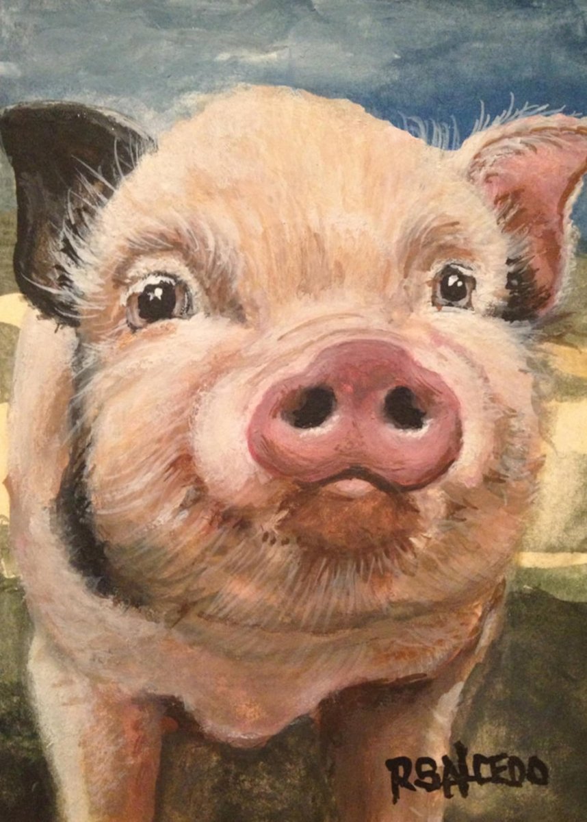 Свинья с открытым ртом