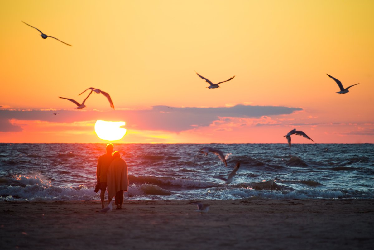 Море Чайки закат