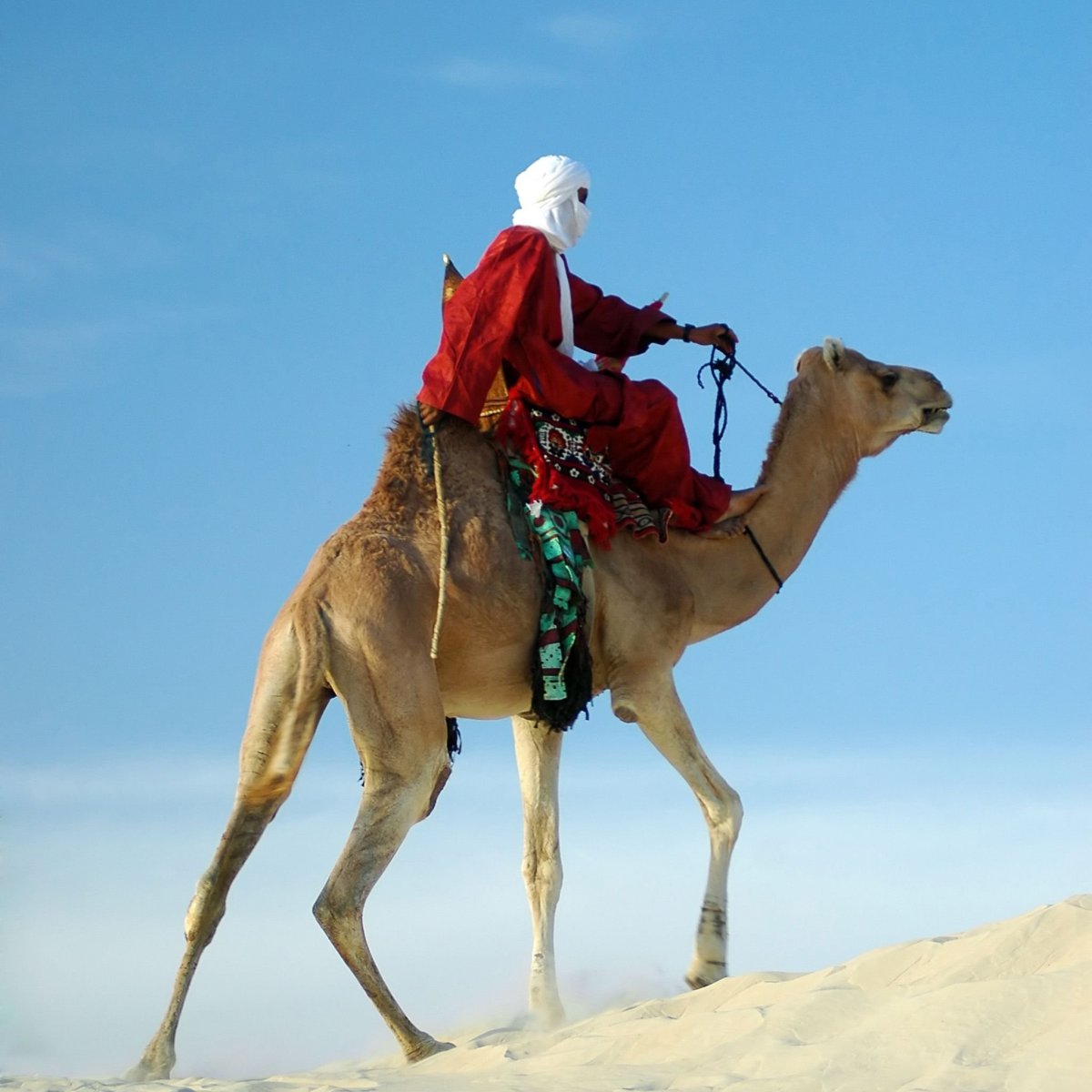 Аравийский Бедуин