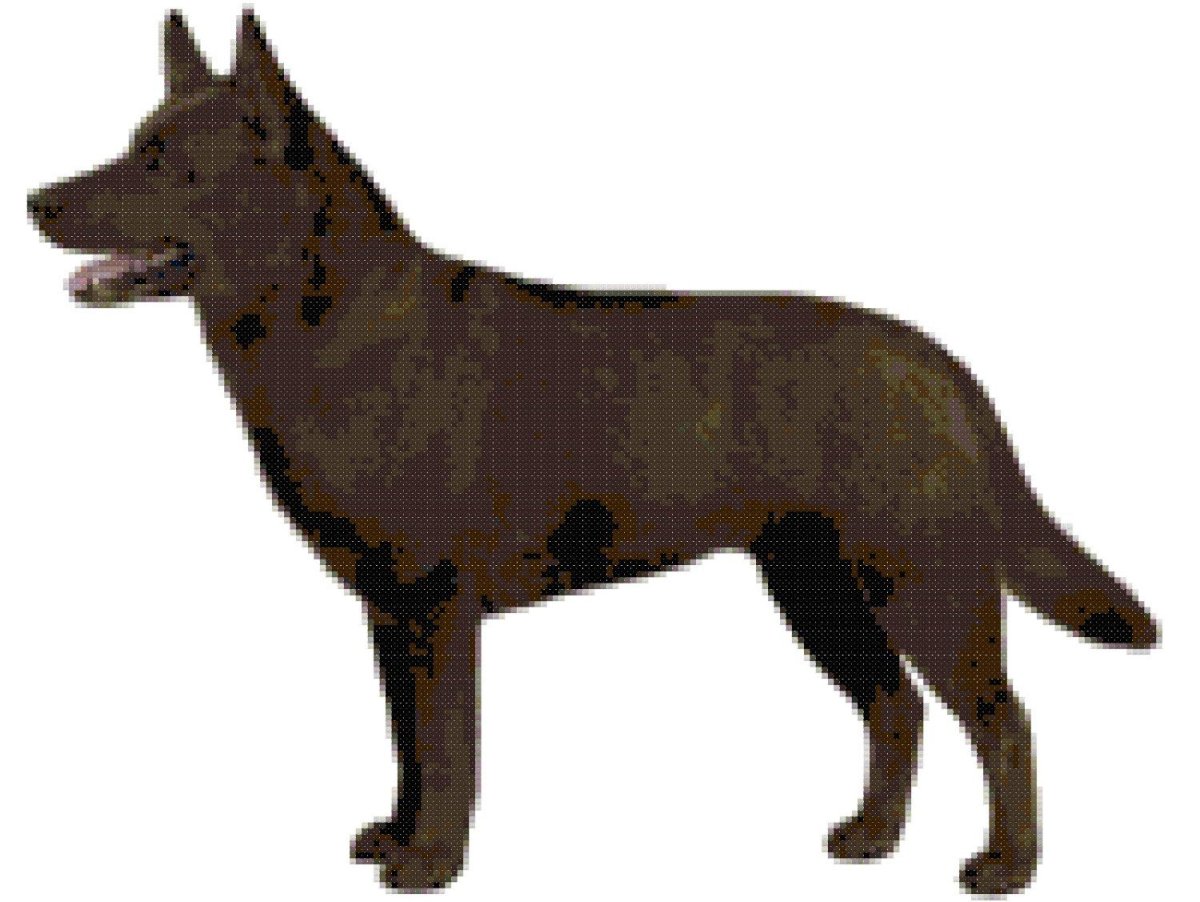 Австралийский келпи