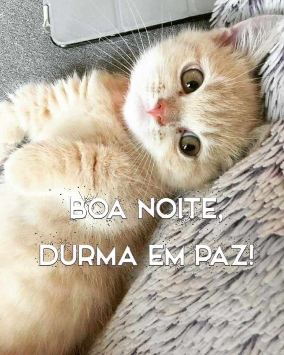 Котик улыбается