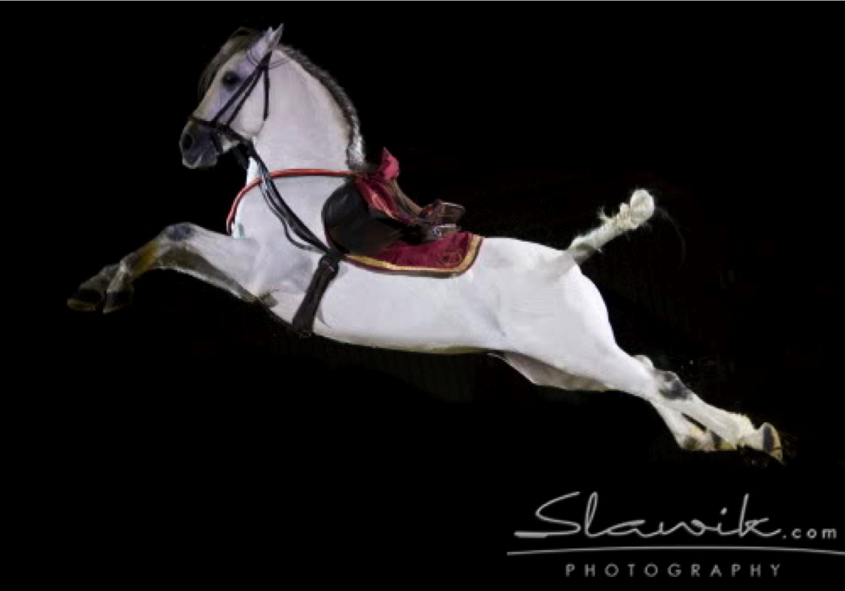 Каприоль лошади