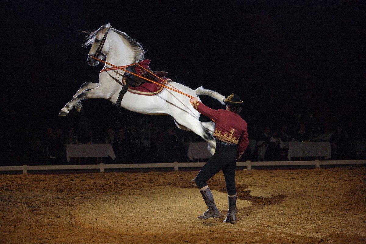 Андалузская Каприоль