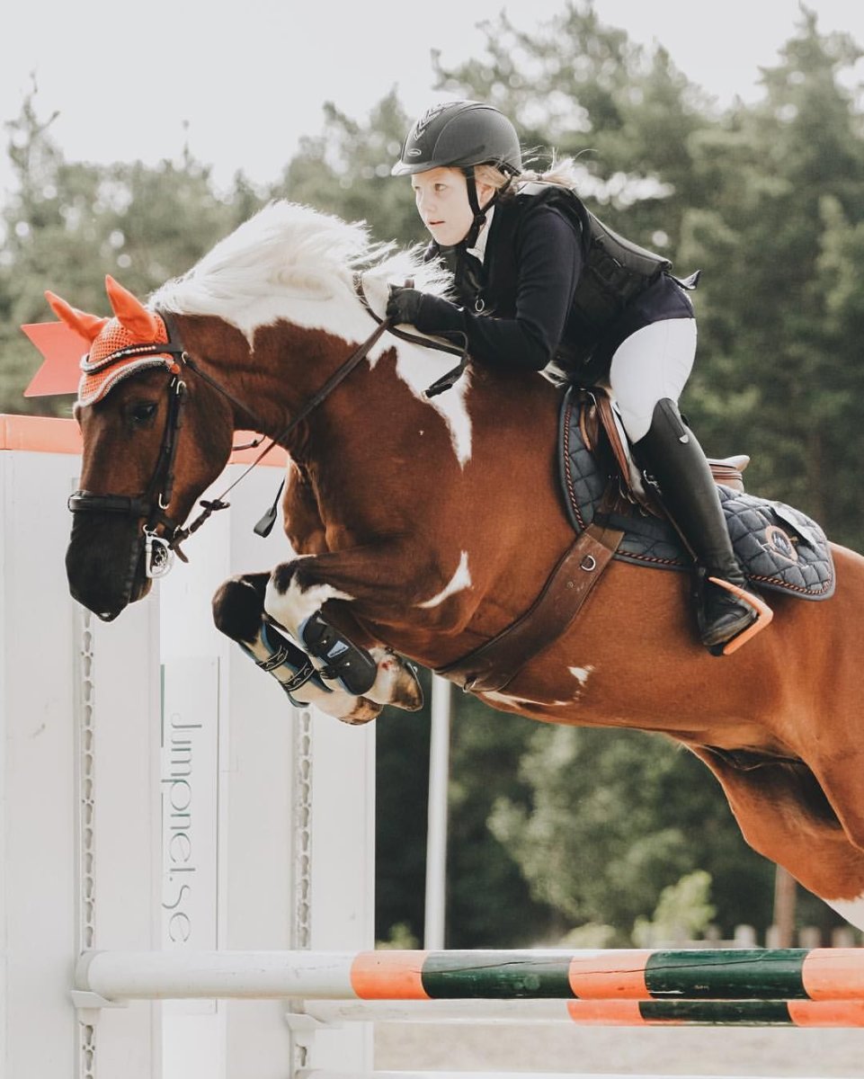 Клейдесдаль конкур