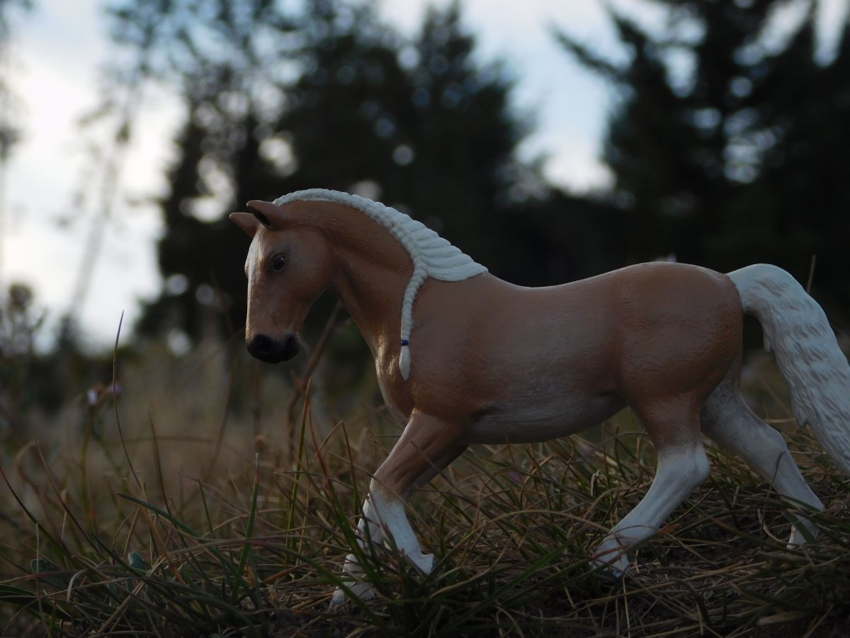 Шляйх на природе