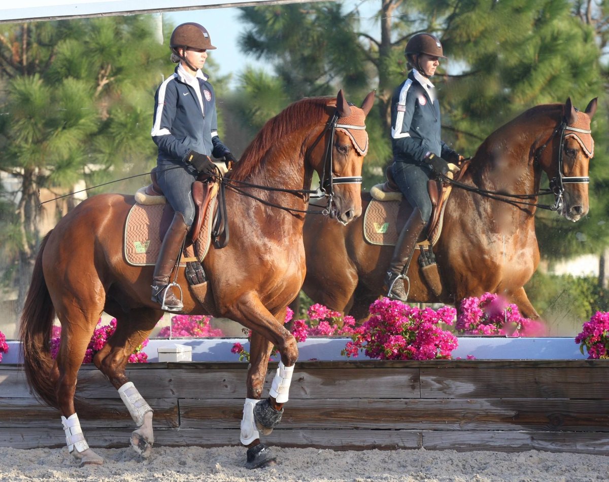 Человек на лошади