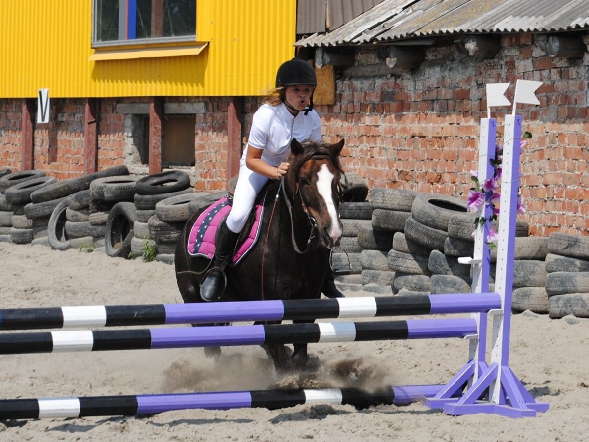Каприоль конный магазин