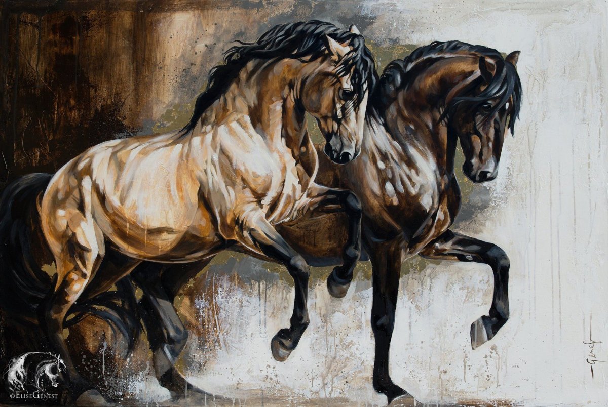 Лошади Elise Genest