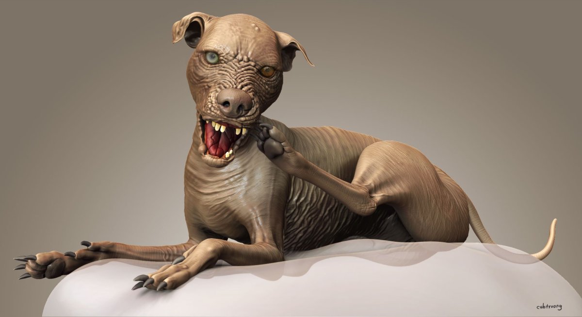 Шишколобый Гнидодав