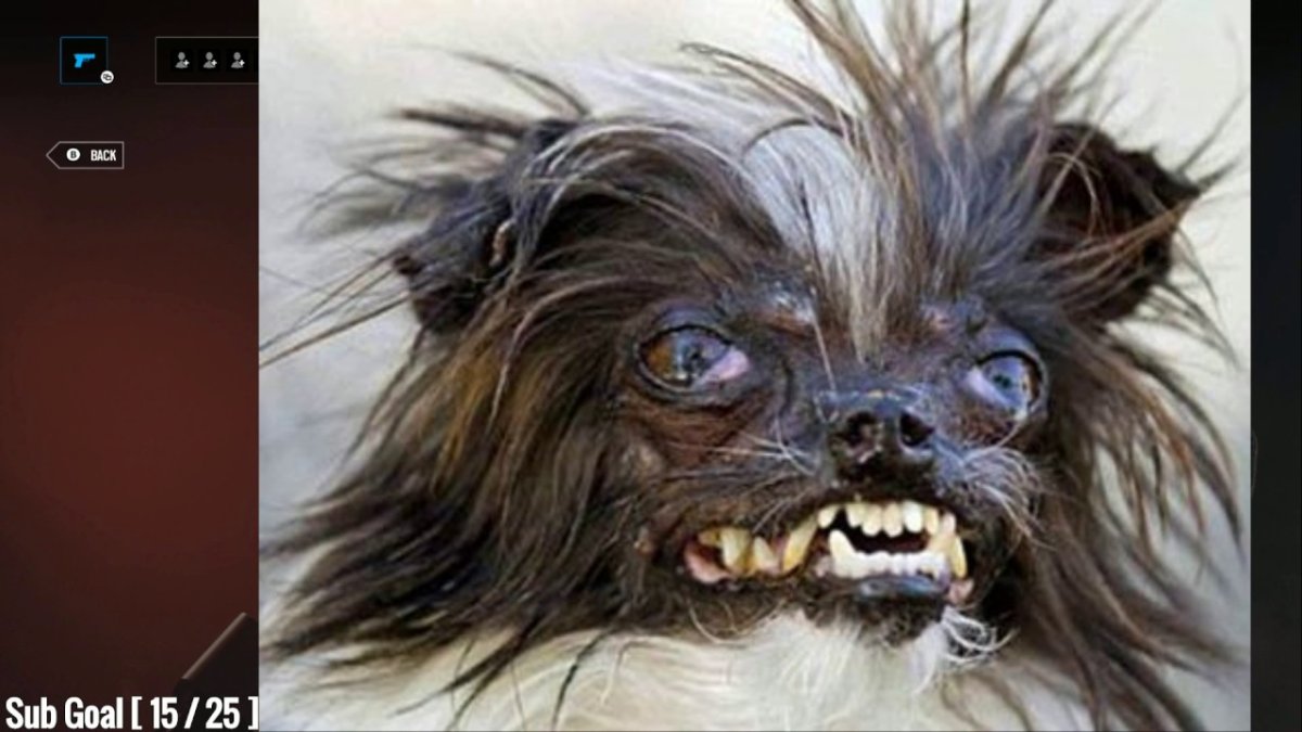 Страшная облезлая собака