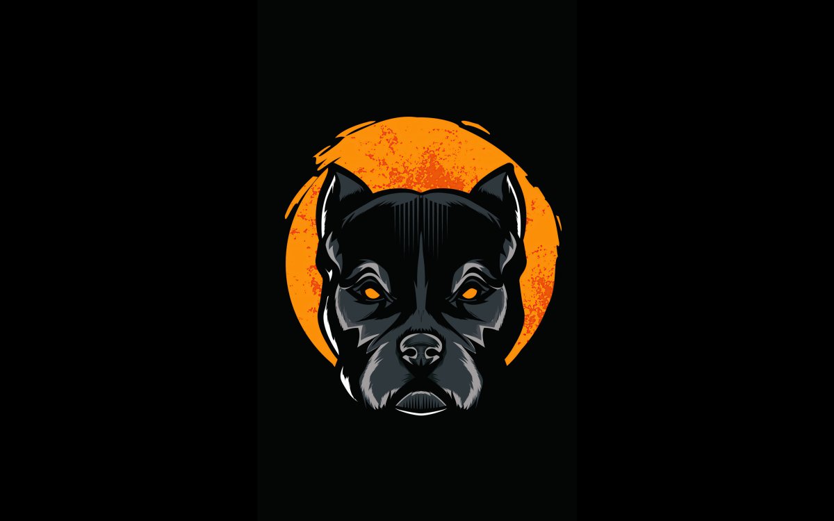 Заставка на рабочий стол питбуль