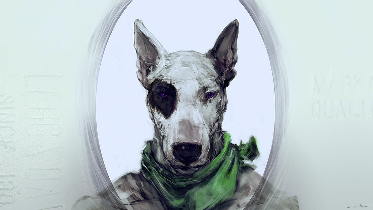 Питбуль на черном фоне