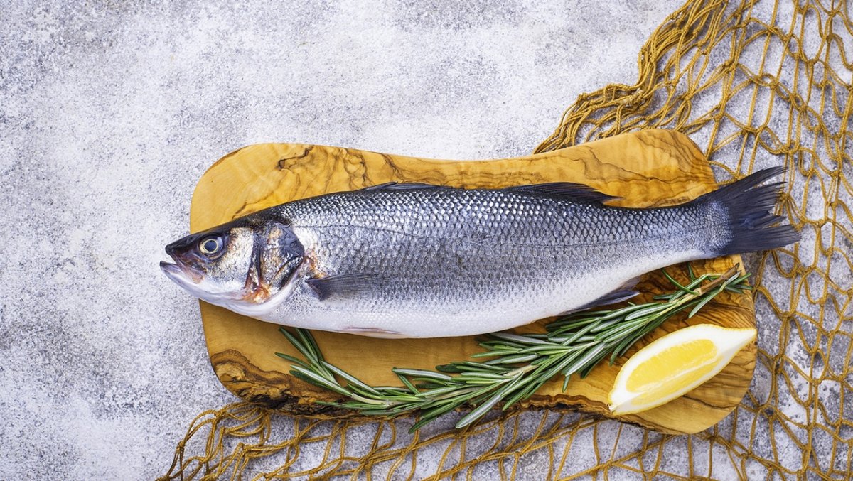 Нельма Сибирская