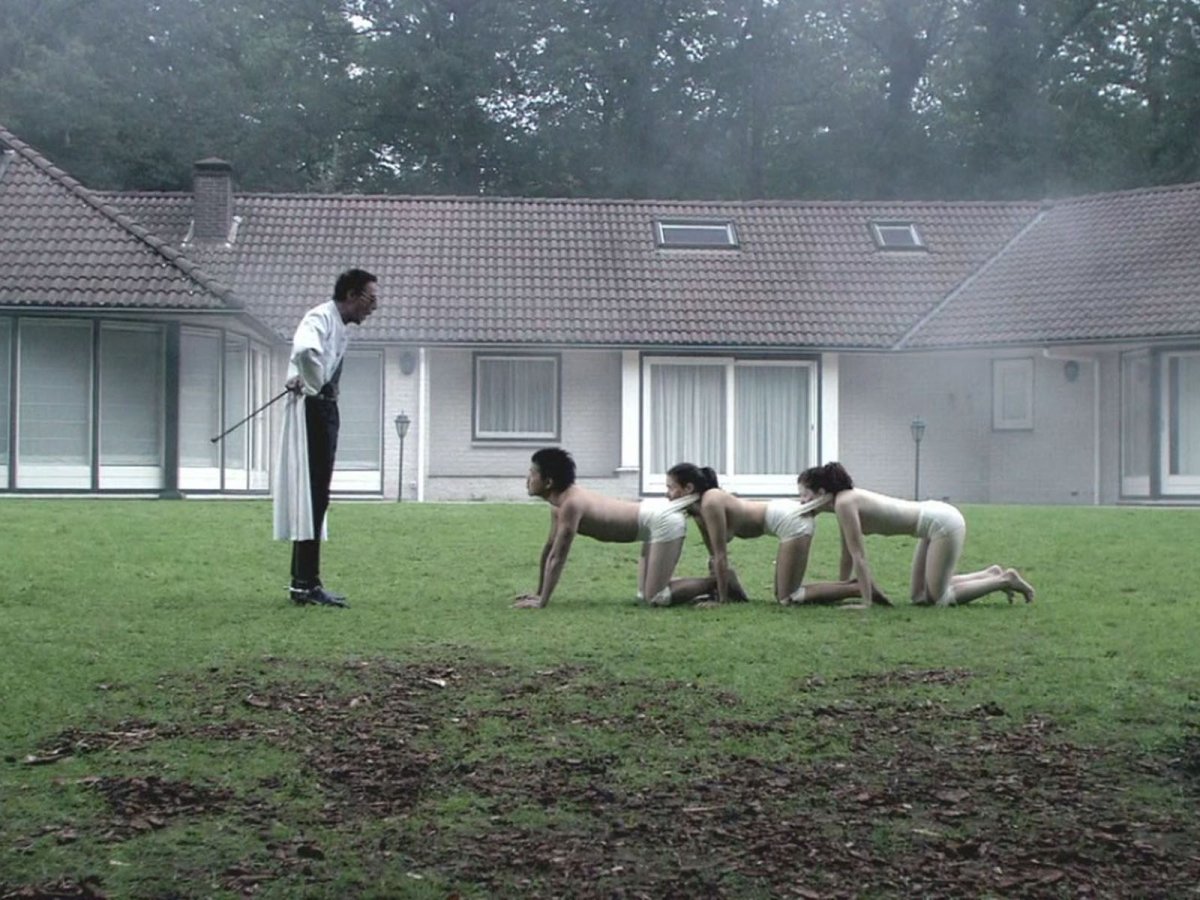 Мокрица насекомое сороконожка