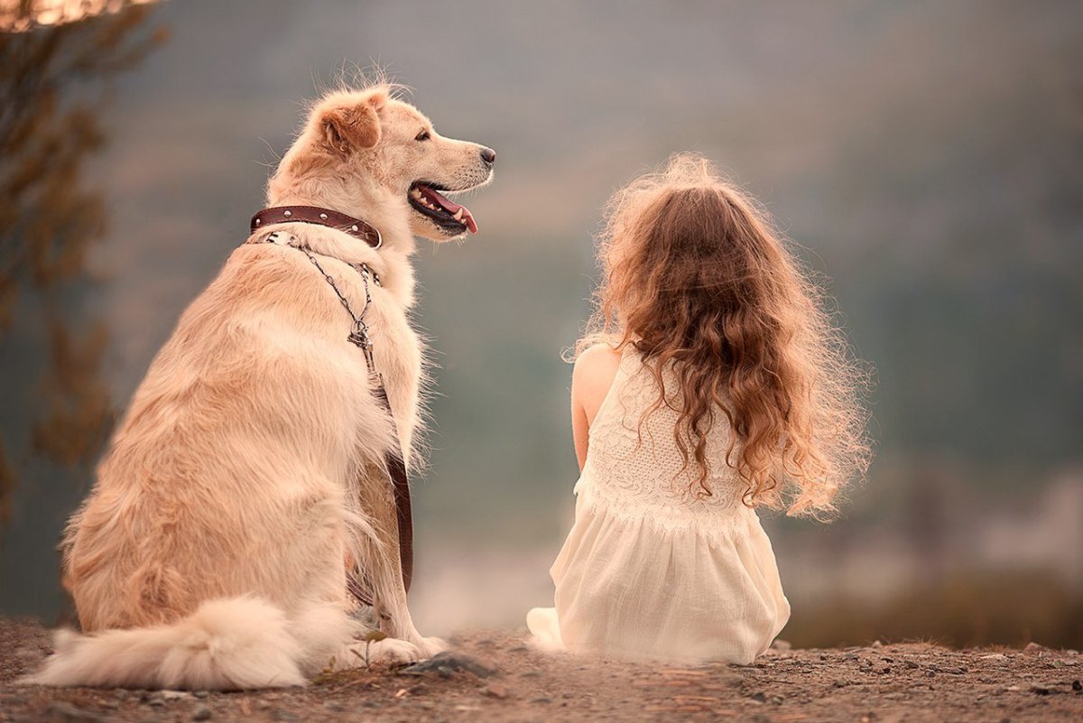 Дружба животных