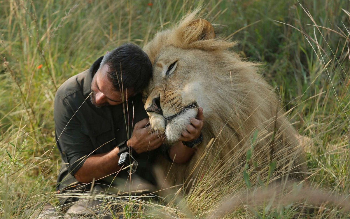 Необычная Дружба животных и людей