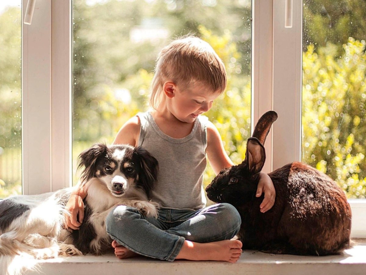 Обезьяны друзья