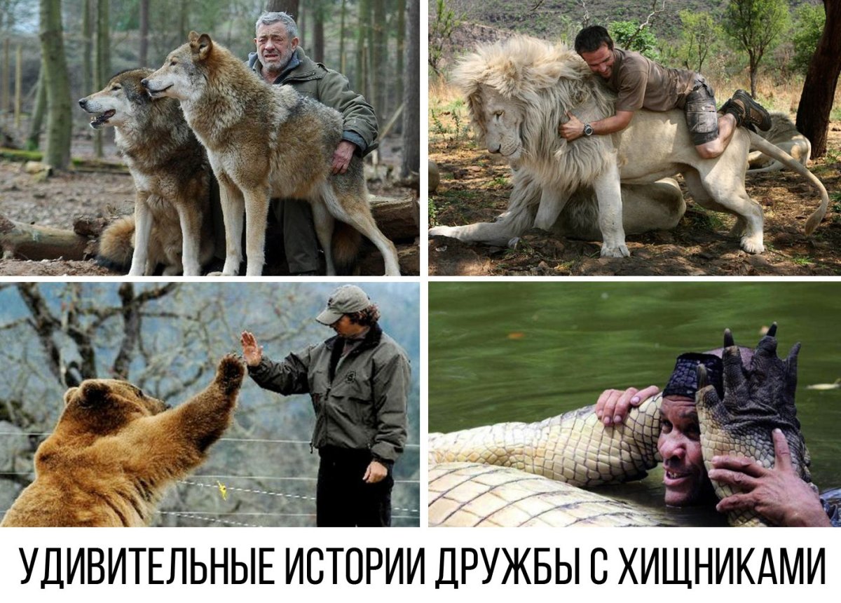 Для детей. Животные