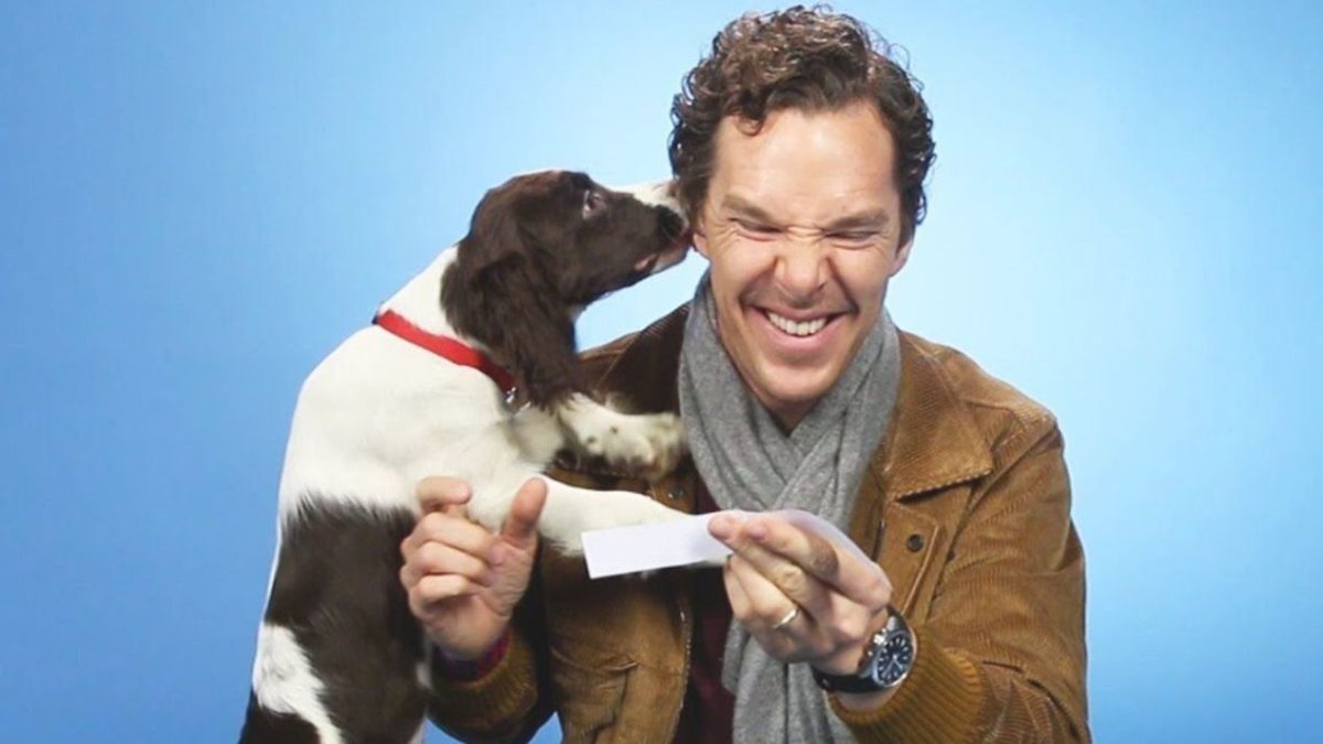 Бенедикт Камбербэтч с собакой