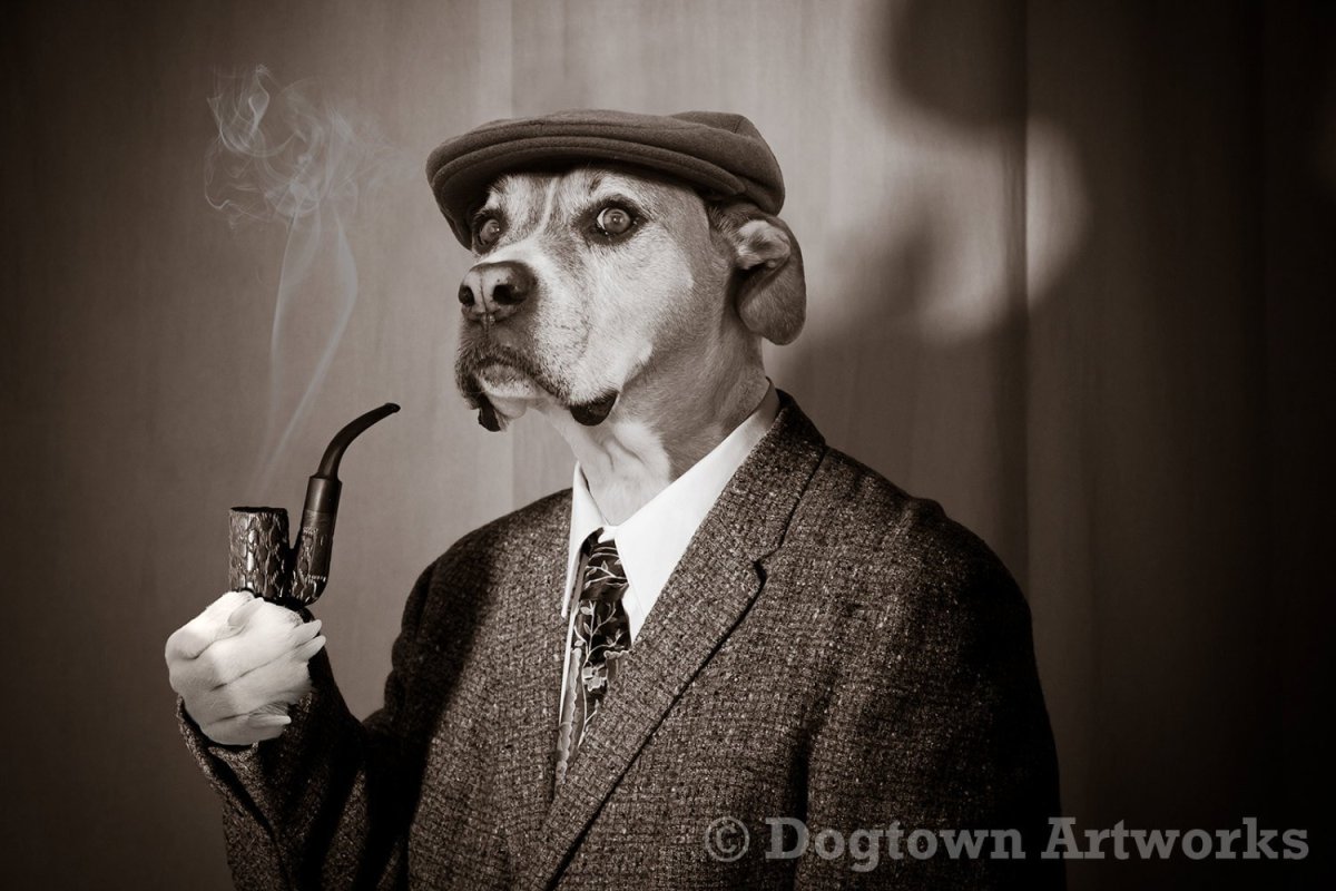 Собака Шерлока Холмса