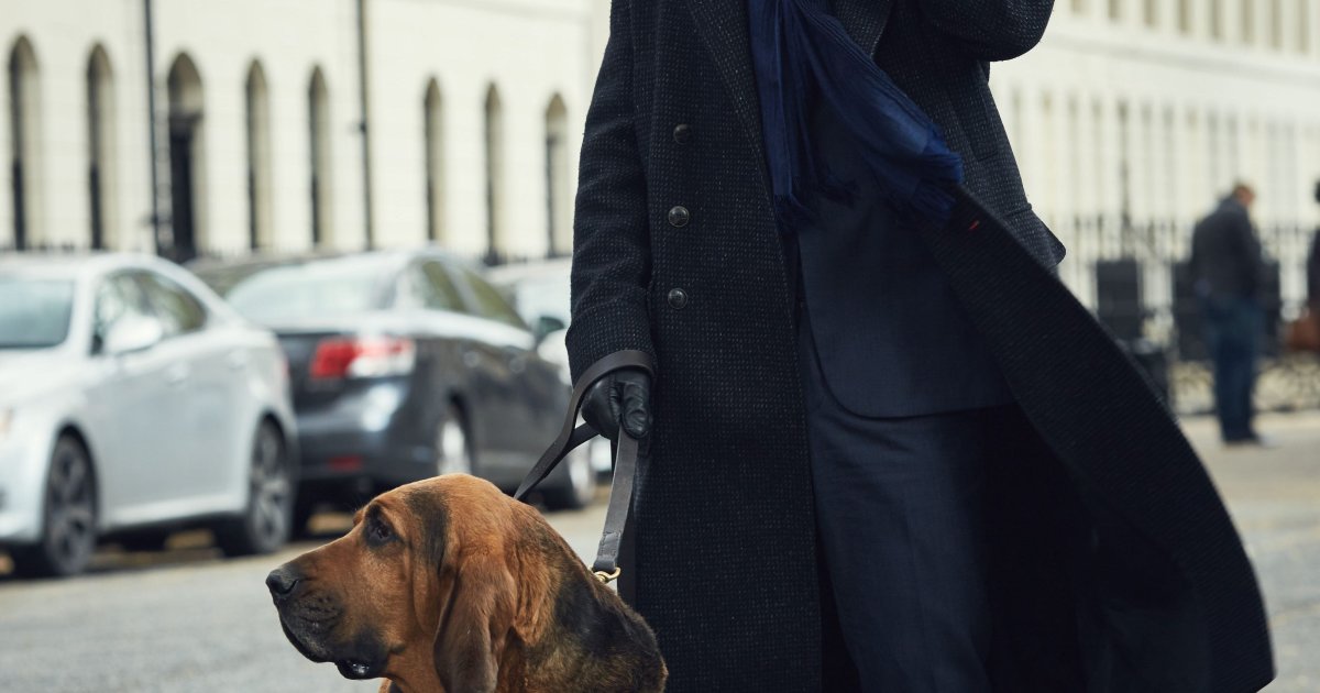 Собака шерлока холмса порода