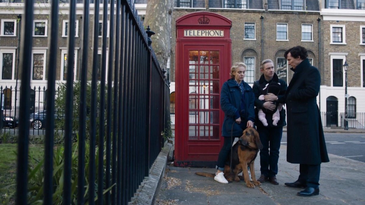 Пес Шерлок Холмс