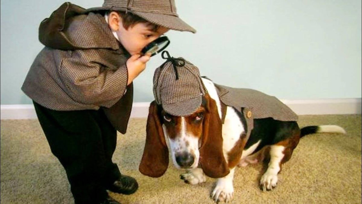 Тоби Шерлок Холмс порода