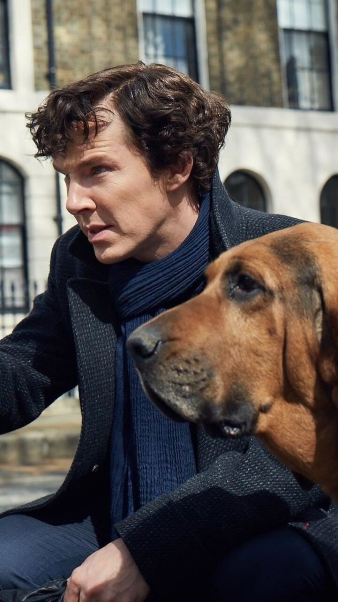 Собака Шерлока Холмса порода