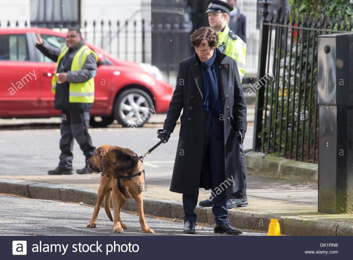 Пес Шерлок Холмс