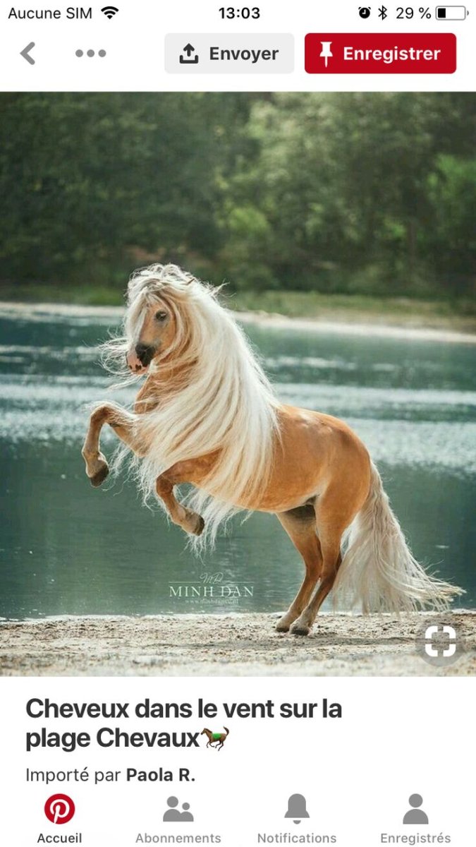 Лошадь с глиный гоивой