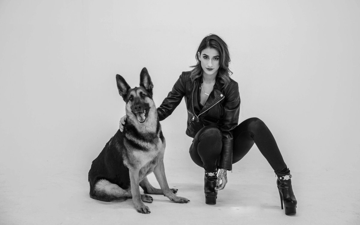 Немецкие собаки мемы