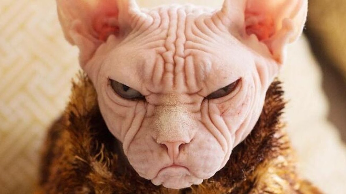 Сфинкс Локи