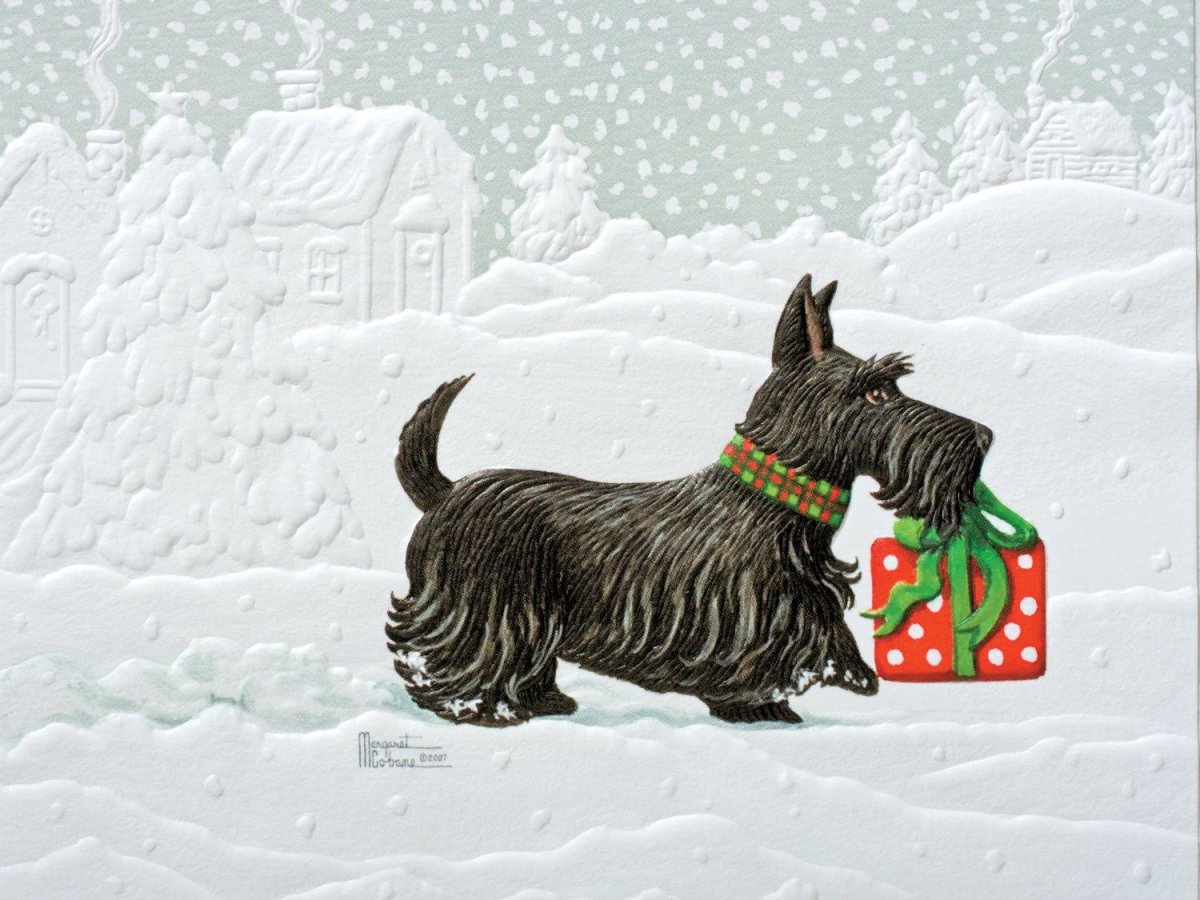 Собака хаски самоед