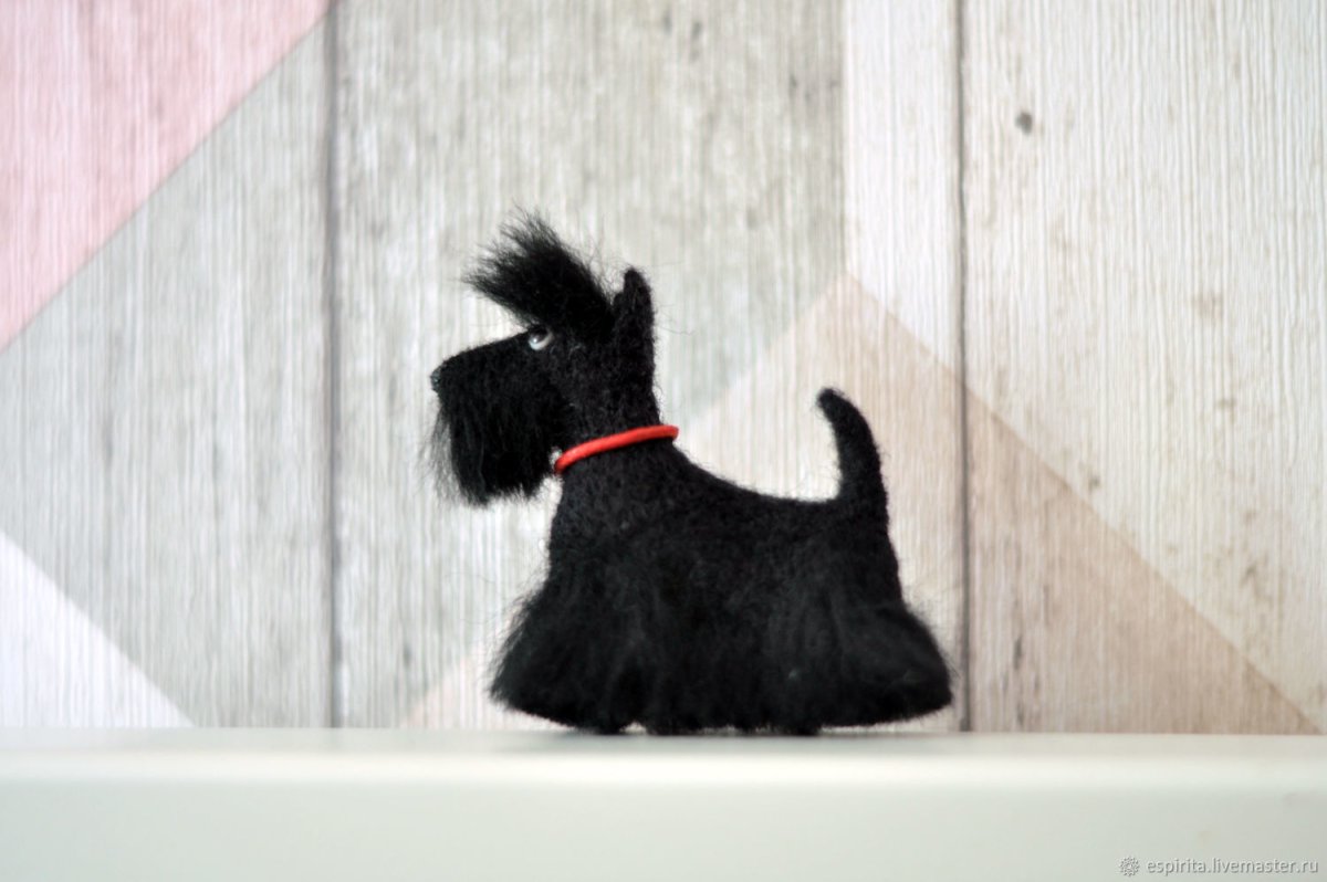 Гадалова Вероника скотч терьер