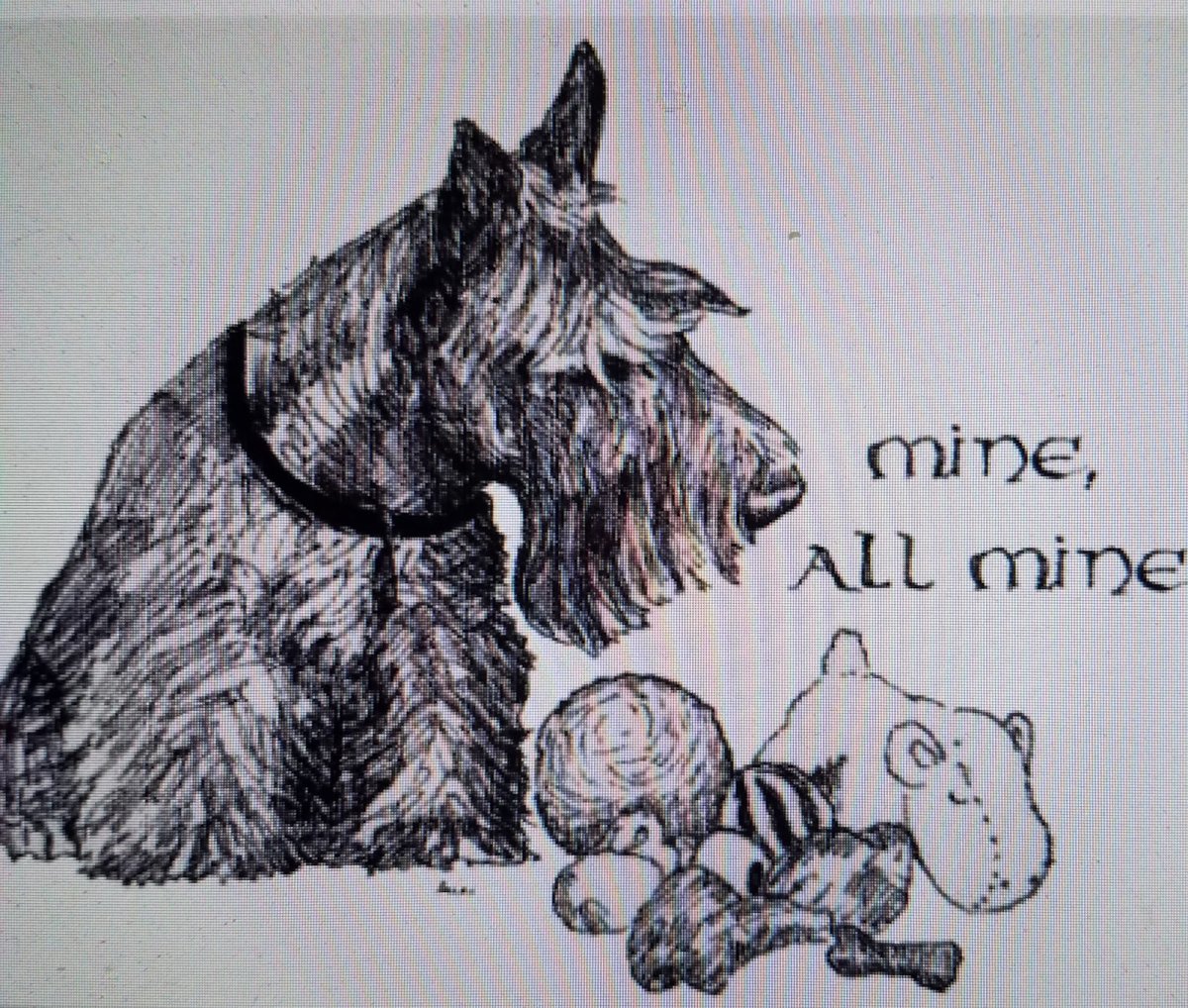 Скотч терьер Блэк