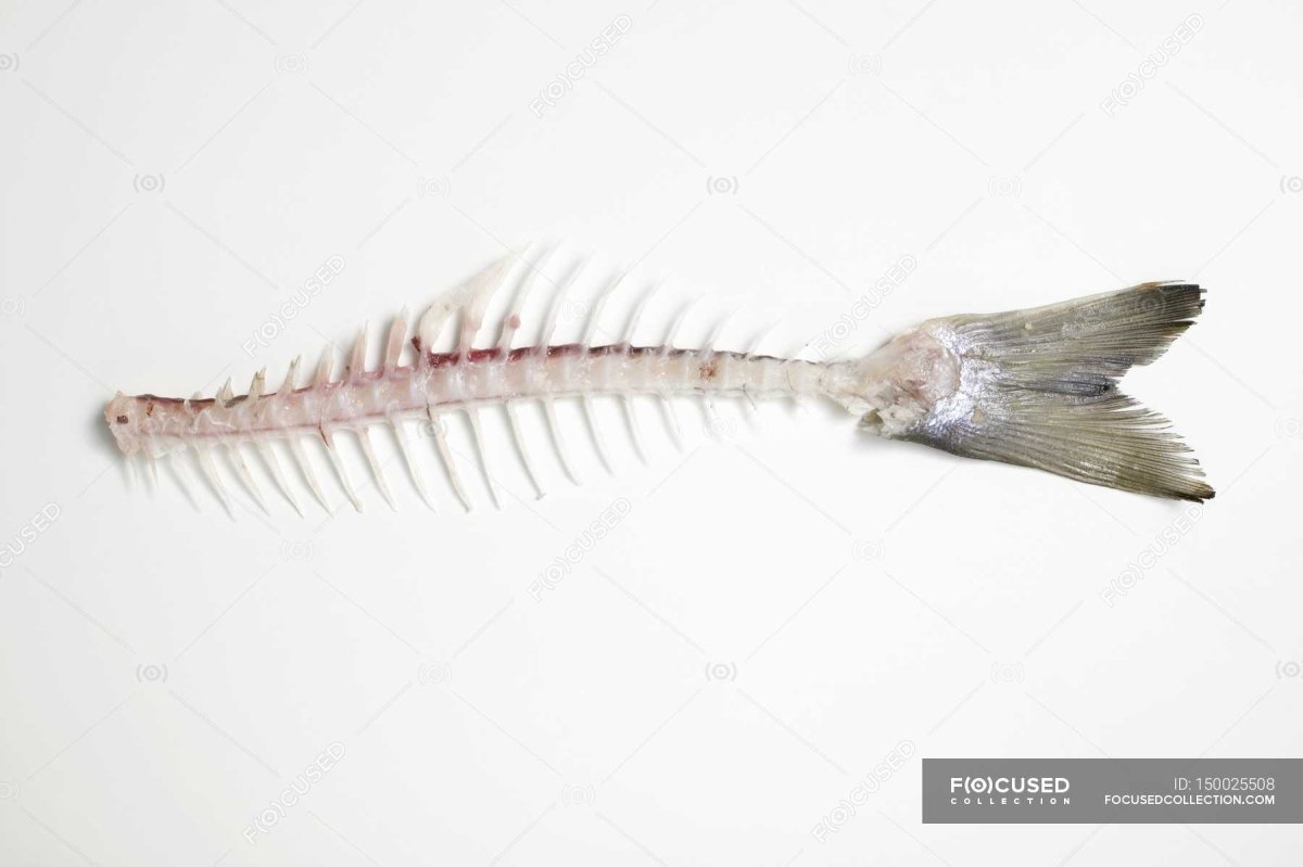 Косточка от рыбы