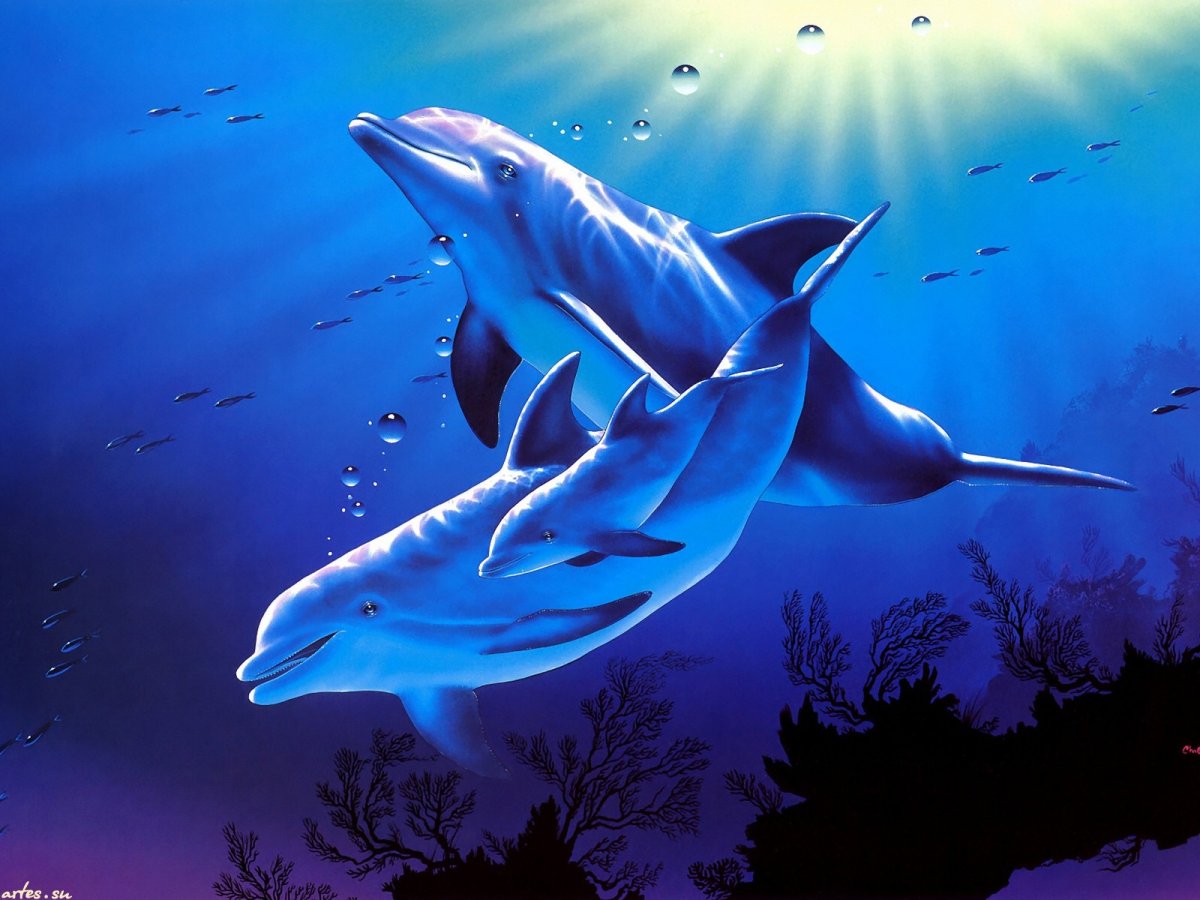 Кристиан Риес Лассен картины