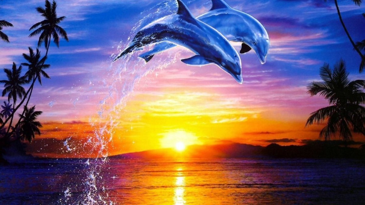 Море пальмы дельфины