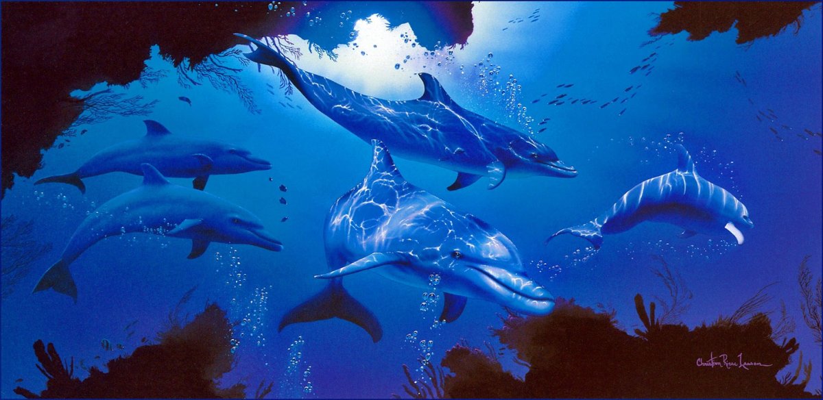 Художник Кристиан Риес Лассен черепахи