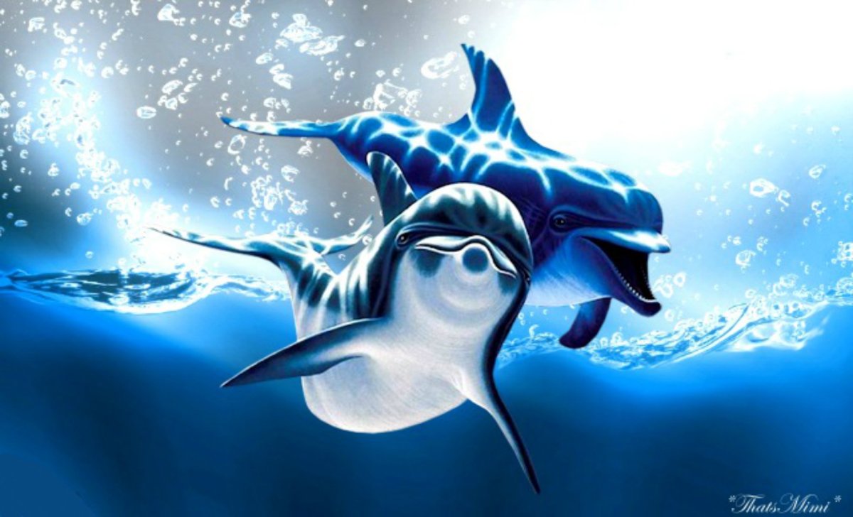 Прикольный фон с дельфинами