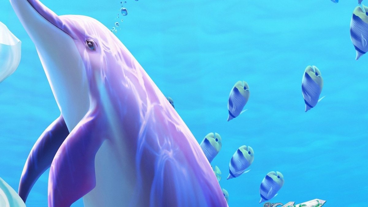 Обои с дельфинами