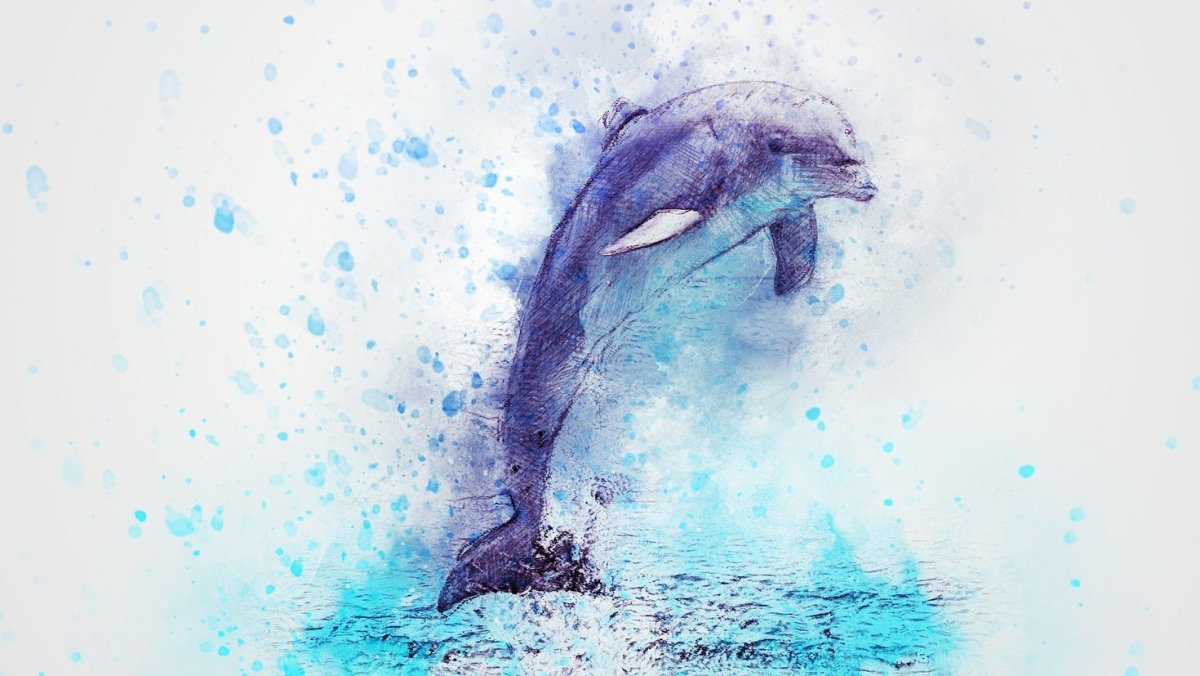 Дельфин на белом фоне