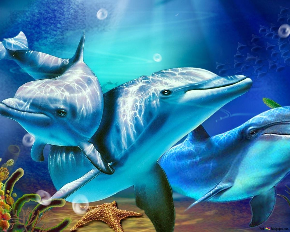 Живые дельфины