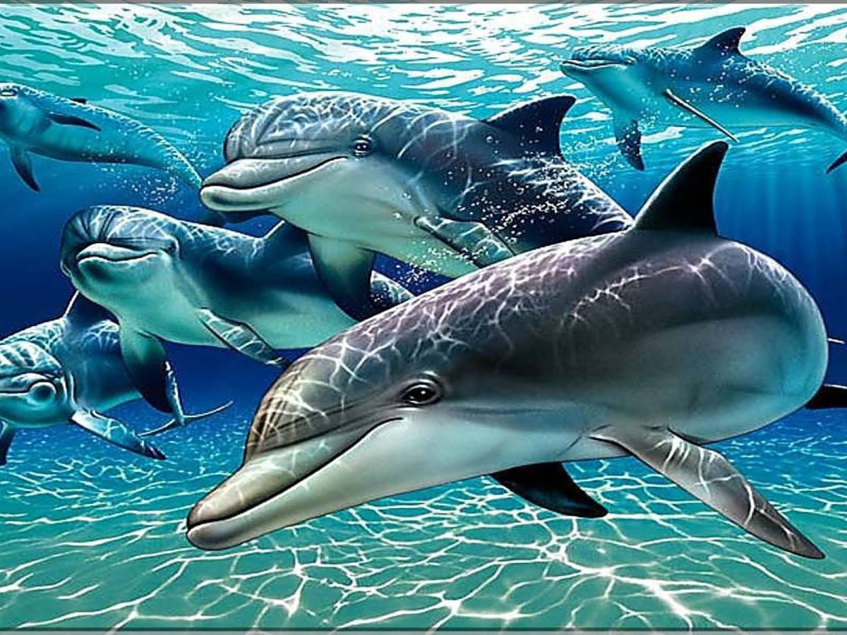 Защита морских животных