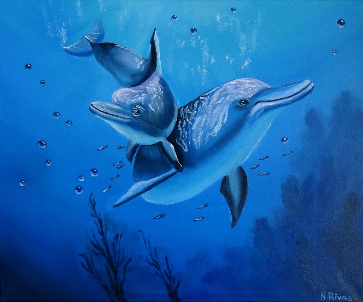 Дмитрий роза дельфины