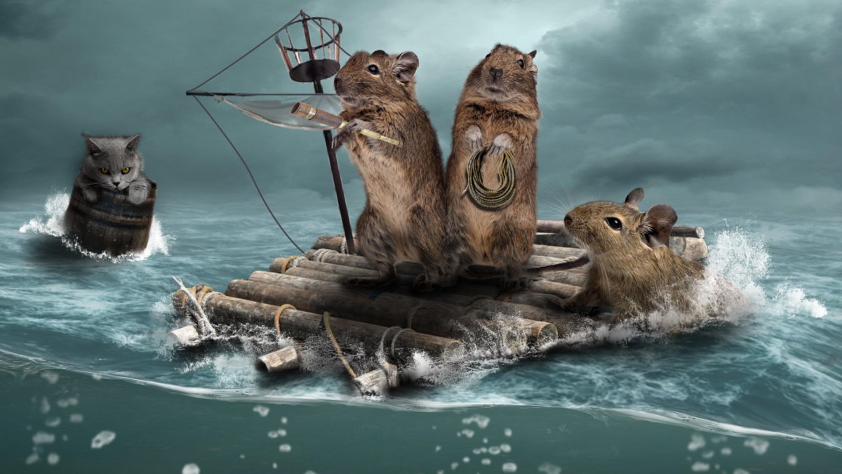 Морская крыса