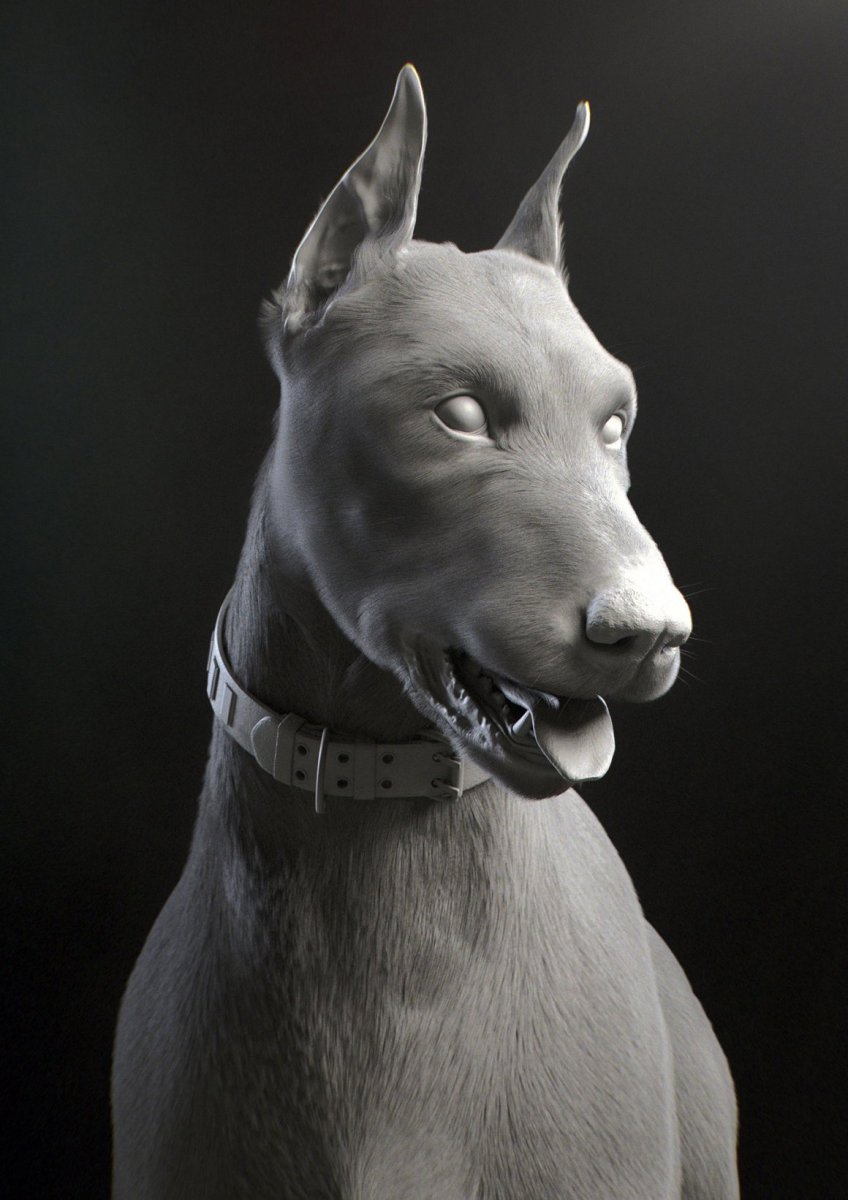 Собака Доберман