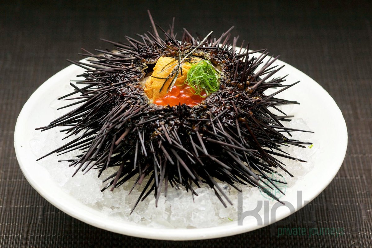 Морской еж в Японии